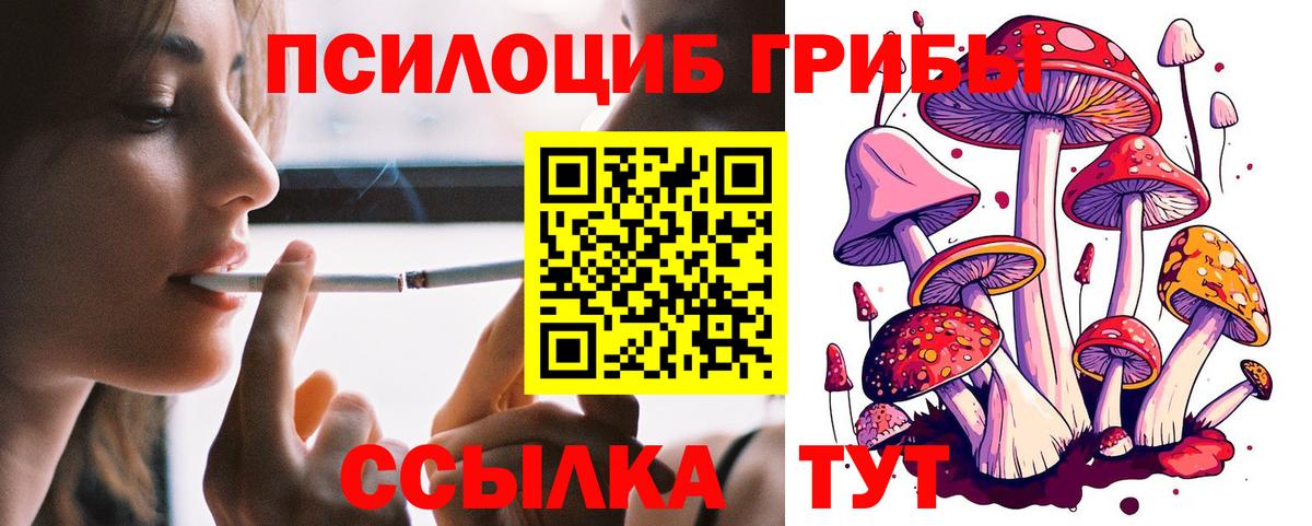 Вологда  Галлюциногенные грибы GOLDEN TEACHER  Вход с VPN  наркошоп  Галлюциногенные грибы прущие грибы 